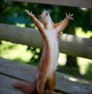 Meet your Posher, Nicky